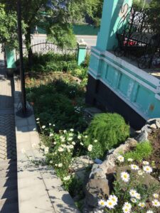 Увидеть красоту
