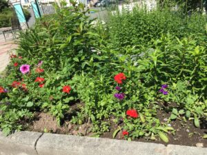 Увидеть красоту